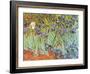 Garden of Irises-Vincent van Gogh-Framed Art Print