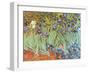 Garden of Irises-Vincent van Gogh-Framed Art Print