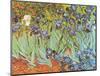 Garden of Irises-Vincent van Gogh-Mounted Art Print