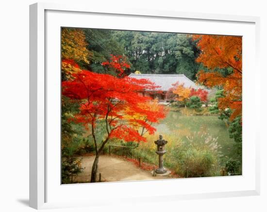 Garden of Joruriji Temple-null-Framed Photographic Print