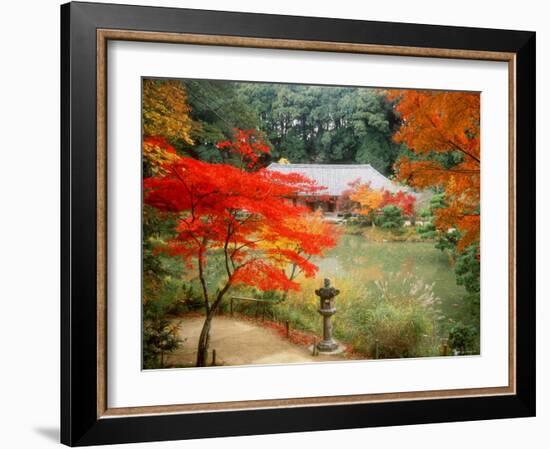 Garden of Joruriji Temple-null-Framed Photographic Print