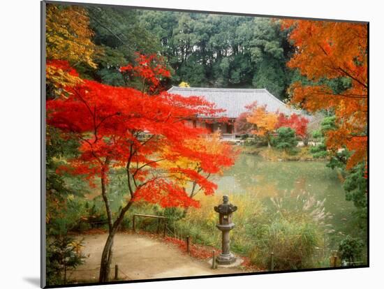 Garden of Joruriji Temple-null-Mounted Photographic Print