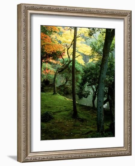 Garden of Moss in Saihoji Temple-null-Framed Photographic Print