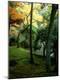 Photographic Print