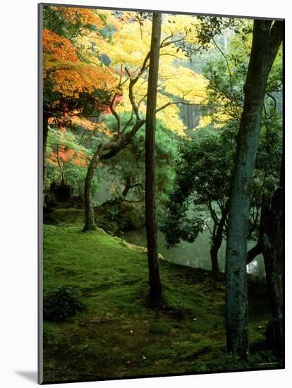 Garden of Moss in Saihoji Temple-null-Mounted Photographic Print