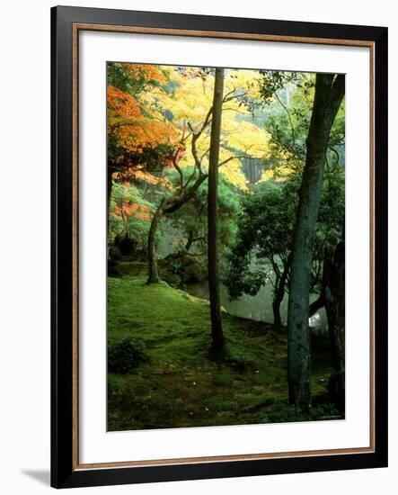 Garden of Moss in Saihoji Temple-null-Framed Photographic Print