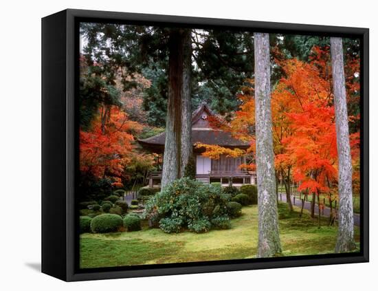 Garden of Sanzenin Temple-null-Framed Premier Image Canvas