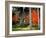 Garden of Sanzenin Temple-null-Framed Photographic Print