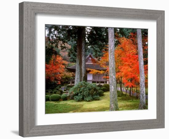 Garden of Sanzenin Temple-null-Framed Photographic Print