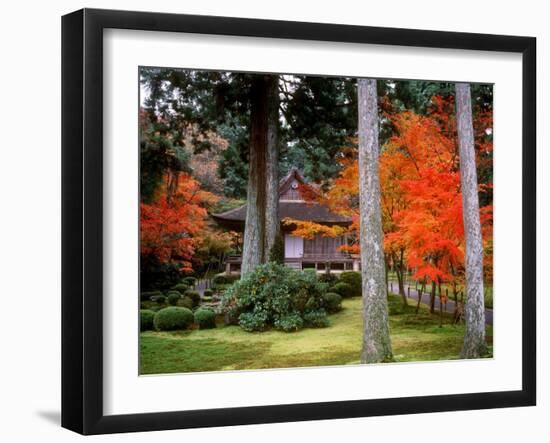 Garden of Sanzenin Temple-null-Framed Photographic Print