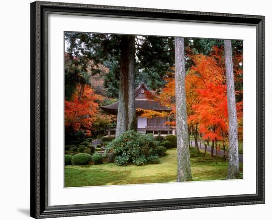 Garden of Sanzenin Temple-null-Framed Photographic Print