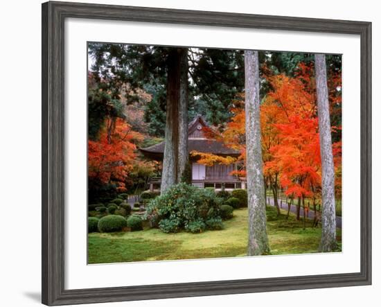 Garden of Sanzenin Temple-null-Framed Photographic Print