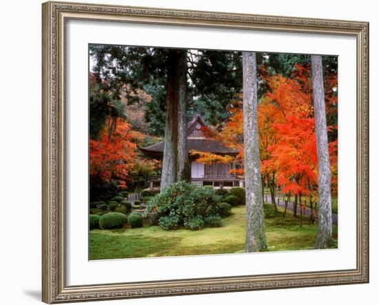 Garden of Sanzenin Temple-null-Framed Photographic Print