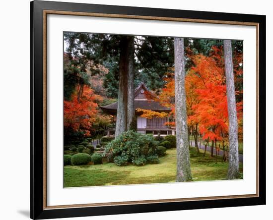 Garden of Sanzenin Temple-null-Framed Photographic Print