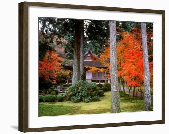 Garden of Sanzenin Temple-null-Framed Photographic Print