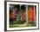 Garden of Sanzenin Temple-null-Framed Photographic Print