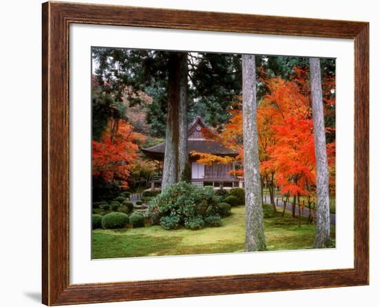 Garden of Sanzenin Temple-null-Framed Photographic Print