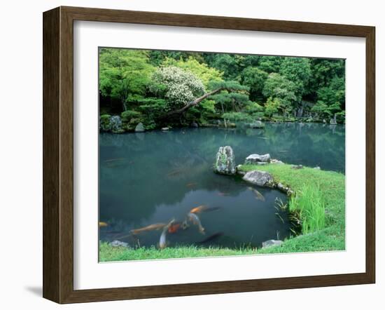 Garden of Tenryuji Temple-null-Framed Photographic Print