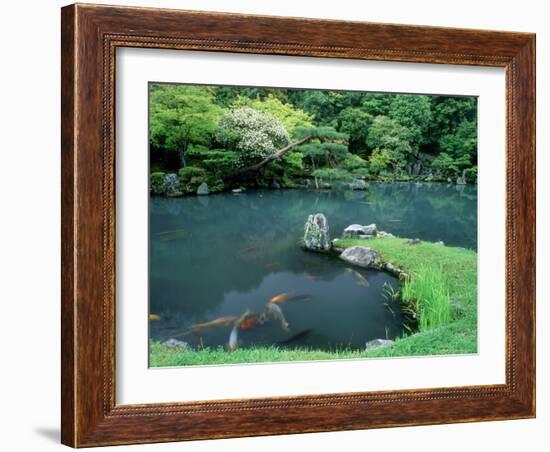 Garden of Tenryuji Temple-null-Framed Photographic Print