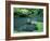 Garden of Tenryuji Temple-null-Framed Photographic Print