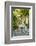 Garden of the 19th Century Bahia Palace, A. Marrakech, Morocco-Nico Tondini-Framed Photographic Print