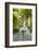 Garden of the 19th Century Bahia Palace, A. Marrakech, Morocco-Nico Tondini-Framed Photographic Print