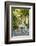 Garden of the 19th Century Bahia Palace, A. Marrakech, Morocco-Nico Tondini-Framed Photographic Print