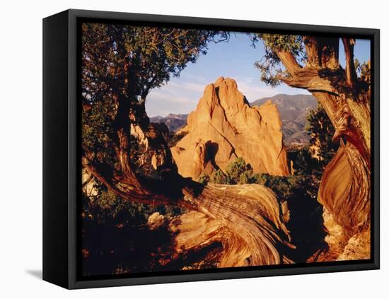 Garden of the Gods CO USA-null-Framed Premier Image Canvas