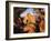 Garden of the Gods CO USA-null-Framed Photographic Print