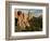 Garden of the Gods Historic Site, Colorado, USA-Patrick J. Wall-Framed Photographic Print