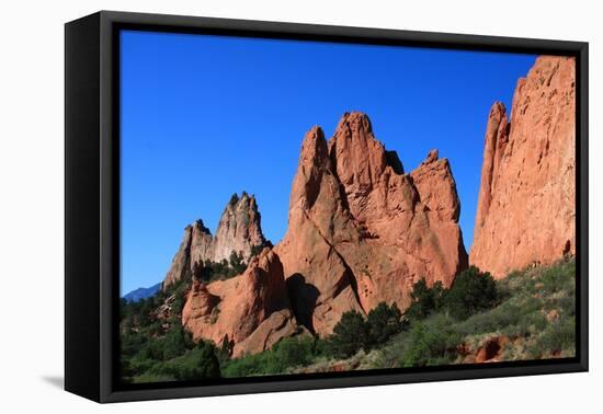 Garden of the Gods-MichaelRiggs-Framed Premier Image Canvas