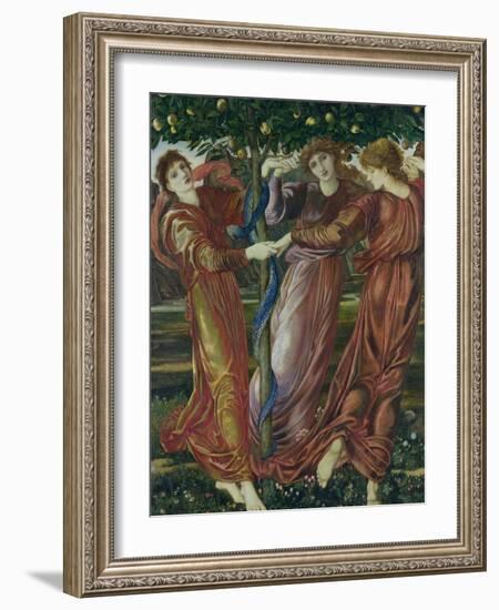 Garden of the Hesperides, 1869-73-Edward Burne-Jones-Framed Giclee Print