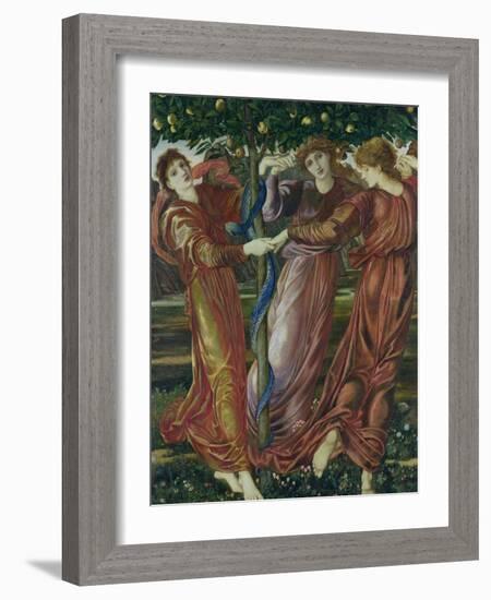 Garden of the Hesperides, 1869-73-Edward Burne-Jones-Framed Giclee Print