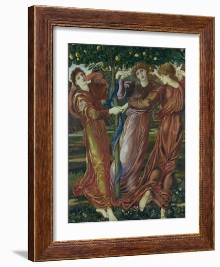 Garden of the Hesperides, 1869-73-Edward Burne-Jones-Framed Giclee Print