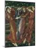 Garden of the Hesperides, 1869-73-Edward Burne-Jones-Mounted Giclee Print