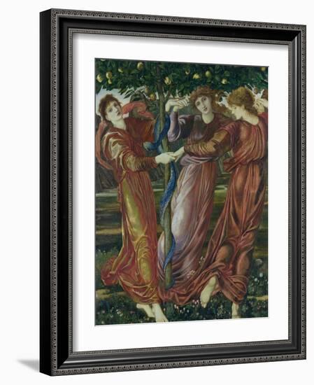 Garden of the Hesperides, 1869-73-Edward Burne-Jones-Framed Giclee Print