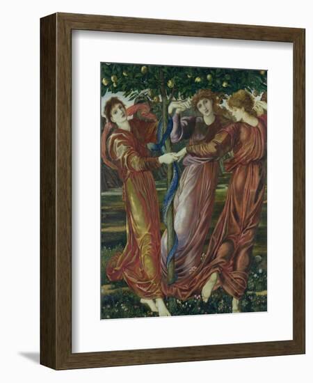 Garden of the Hesperides, 1869-73-Edward Burne-Jones-Framed Giclee Print