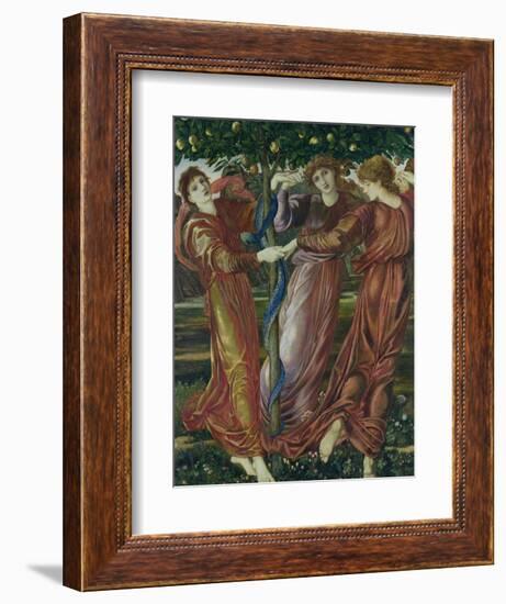 Garden of the Hesperides, 1869-73-Edward Burne-Jones-Framed Giclee Print