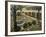 Garden of the Hospital at Arles-Vincent van Gogh-Framed Giclee Print