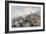 'Garden of the Imperial Palace, Peking', China, 1843-Thomas Allom-Framed Giclee Print