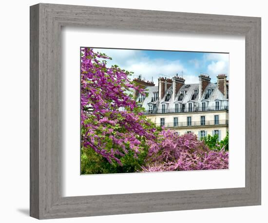 Garden of the Tuileries, the Louvre, Paris, France-Philippe Hugonnard-Framed Photographic Print