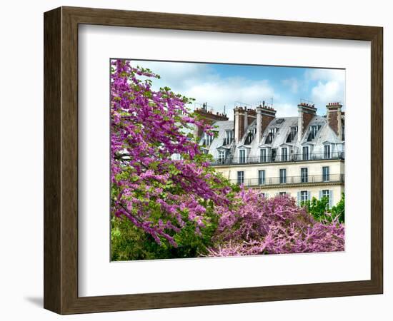 Garden of the Tuileries, the Louvre, Paris, France-Philippe Hugonnard-Framed Photographic Print