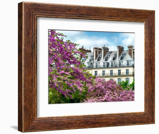 Garden of the Tuileries, the Louvre, Paris, France-Philippe Hugonnard-Framed Photographic Print