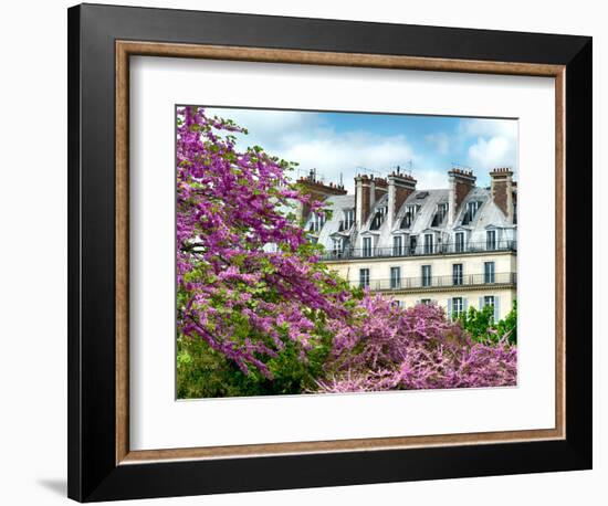 Garden of the Tuileries, the Louvre, Paris, France-Philippe Hugonnard-Framed Photographic Print