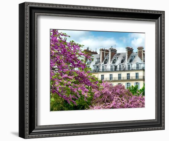 Garden of the Tuileries, the Louvre, Paris, France-Philippe Hugonnard-Framed Photographic Print