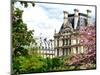 Garden of the Tuileries, the Louvre, Paris, France-Philippe Hugonnard-Mounted Photographic Print