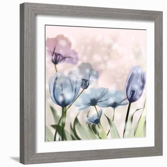 Garden Of Wonders 2-Albert Koetsier-Framed Photographic Print