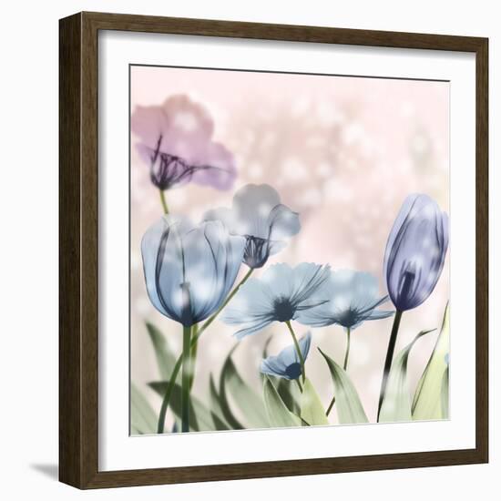 Garden Of Wonders 2-Albert Koetsier-Framed Photographic Print