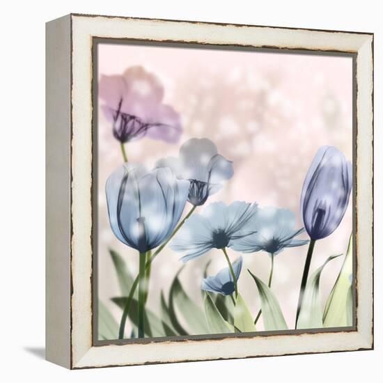 Garden Of Wonders 2-Albert Koetsier-Framed Stretched Canvas