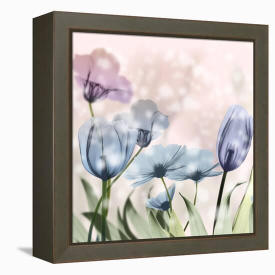 Garden Of Wonders 2-Albert Koetsier-Framed Stretched Canvas